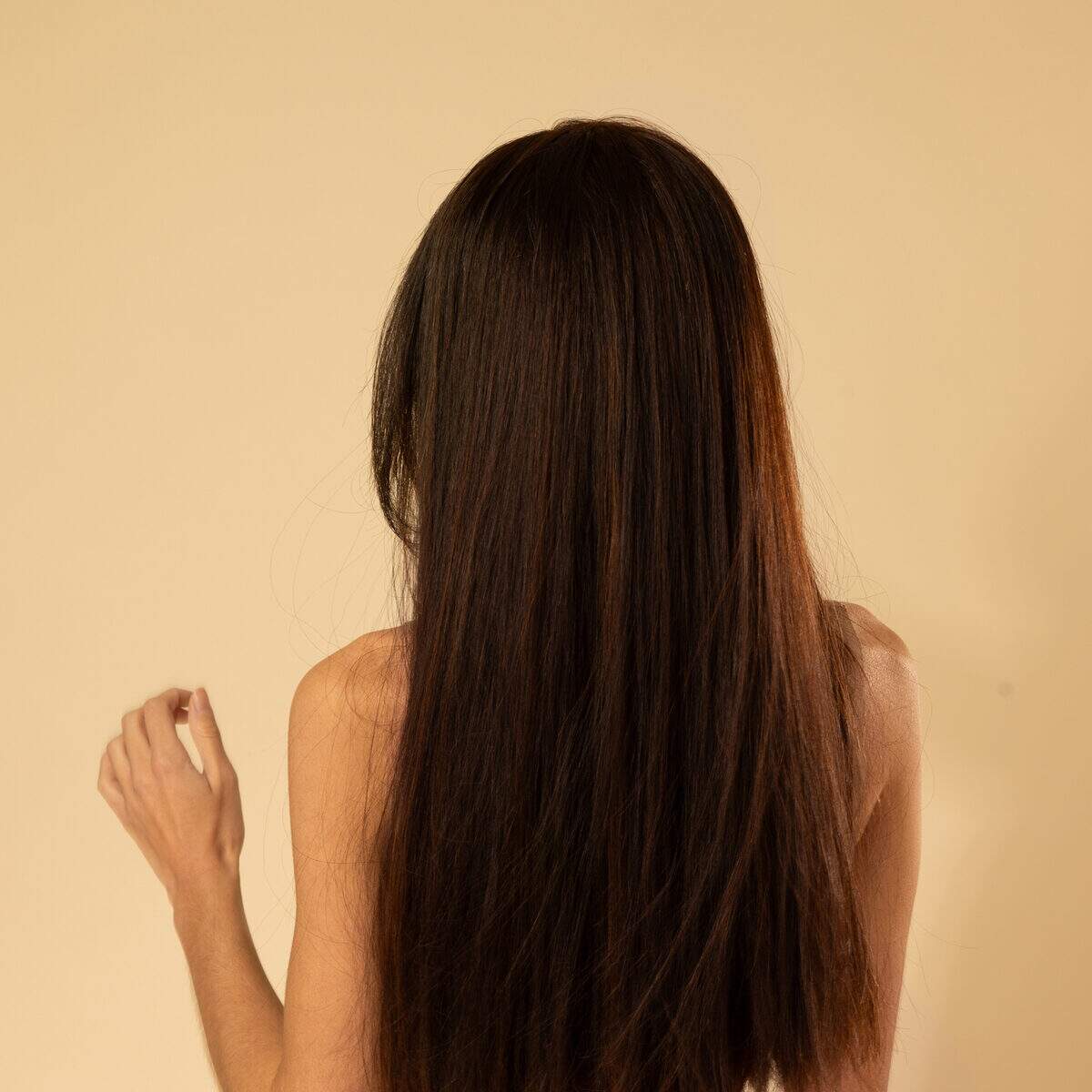 Image de Perruque en cheveux naturel vierge - Longue 30 cm - brun foncé